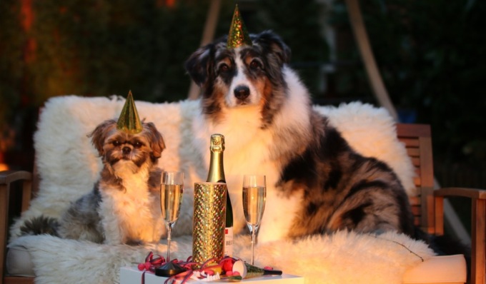 Niente botti di capodanno a Mantova, 150 euro di multa per i trasgressori