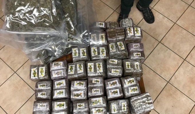 Maxisequestro di 61 chili di droga, l’hashish nascosta nel pollaio di casa