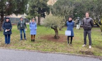 A Mantova piantato un ulivo in memoria di Falcone, Borsellino e delle loro scorte