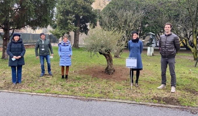 A Mantova piantato un ulivo in memoria di Falcone, Borsellino e delle loro scorte