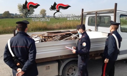 Carabinieri mantovani all'opera: 156 mezzi e 168 persone controllate