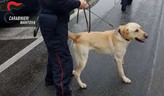 Grazie al cane “Grinder” trovata della droga in un tubo di plastica nascosto in un garage