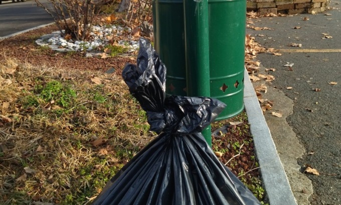 Macabra scoperta nel bosco: all’interno di un sacco le carcasse di un cane e un gatto massacrati
