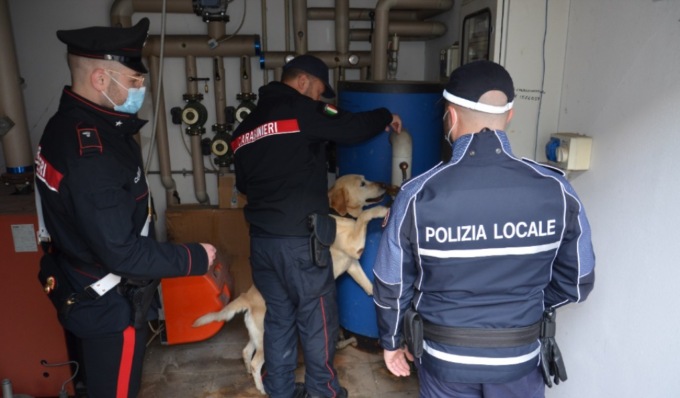 Controlli nel Mantovano, il cane Grinder scova della droga nascosta