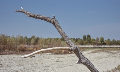 Caldo record e siccità: in Lombardia riserve idriche ai minimi storici