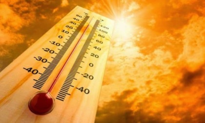 Arriva l'ordinanza anti caldo della Regione: "Bene, ma cerchiamo di non generare caos"