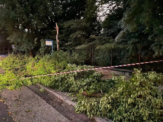 Il vento fa disastri: due condomini scoperchiati e decine di alberi caduti