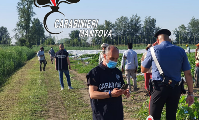 Multa di 20mila euro e sospensione per un’azienda agricola che aveva tre lavoratori in nero