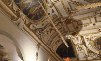 Tra storia e mistero: l'antica zanna di Narvalo a Palazzo Ducale