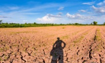 In Lombardia l'emergenza siccità posticipa la stagione irrigua