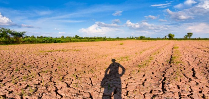 Siccità: gli allevatori e gli agricoltori mantovani sono sempre più in difficoltà