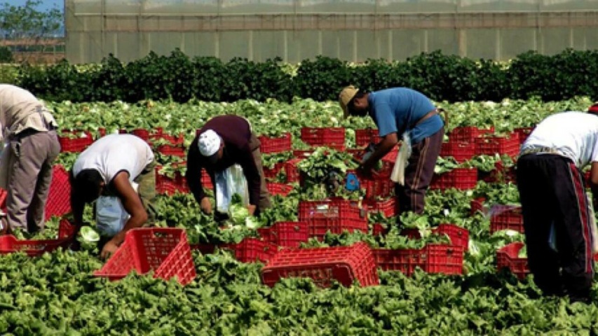 A Mantova Il Primo Laboratorio Per Il Contrasto Allo Sfruttamento Del ...