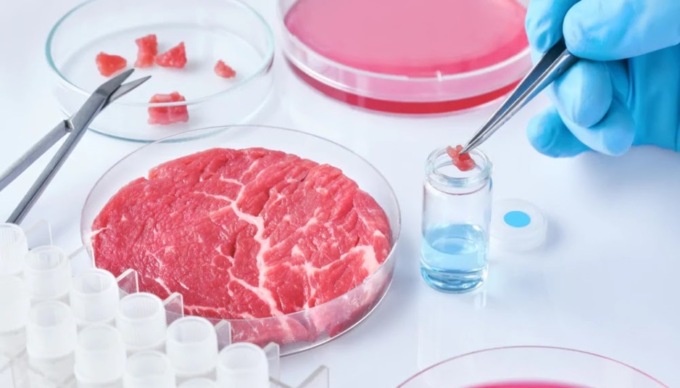 Stop al cibo sintetico: esulta anche Coldiretti Lombardia