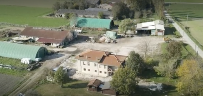 Anziano amputato dopo aggressione di un cinghiale: esclusa la presenza di ungulati a San Giovanni del Dosso