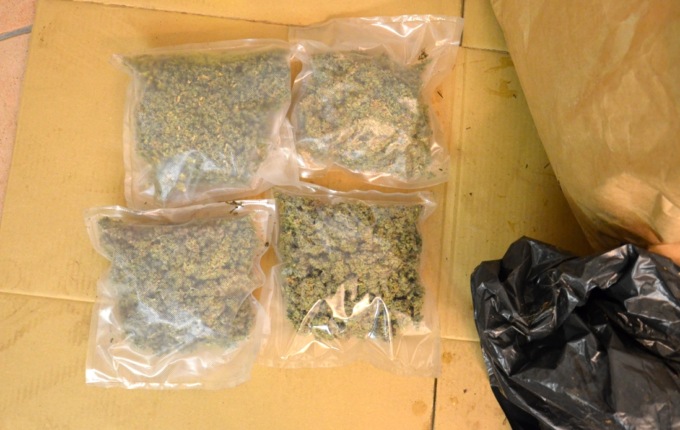 Cc in azione per un furto, ma trovano la coltivazione di marijuana