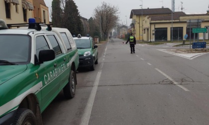 Carabinieri a caccia di bocconi avvelenati con le unità cinofile