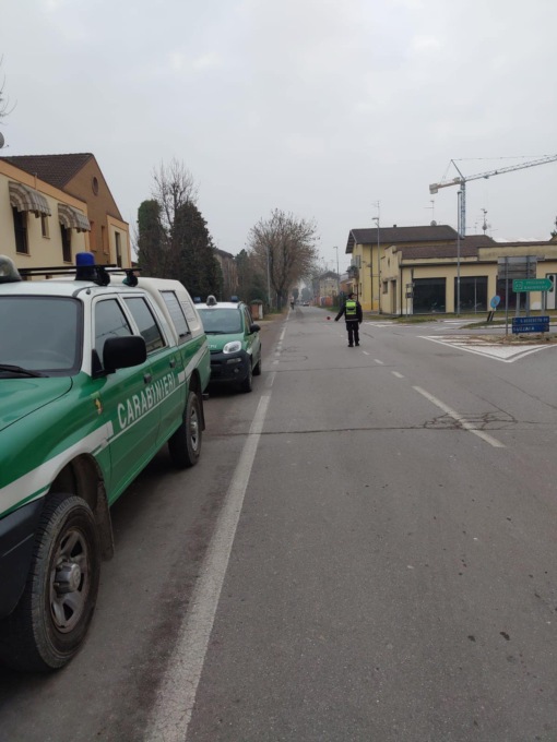 Carabinieri a caccia di bocconi avvelenati con le unità cinofile