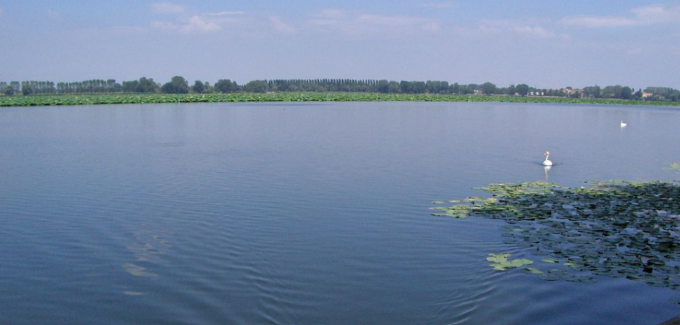 Balneabilità del Lago Superiore, sindaco Palazzi: “Ci siamo vicini”