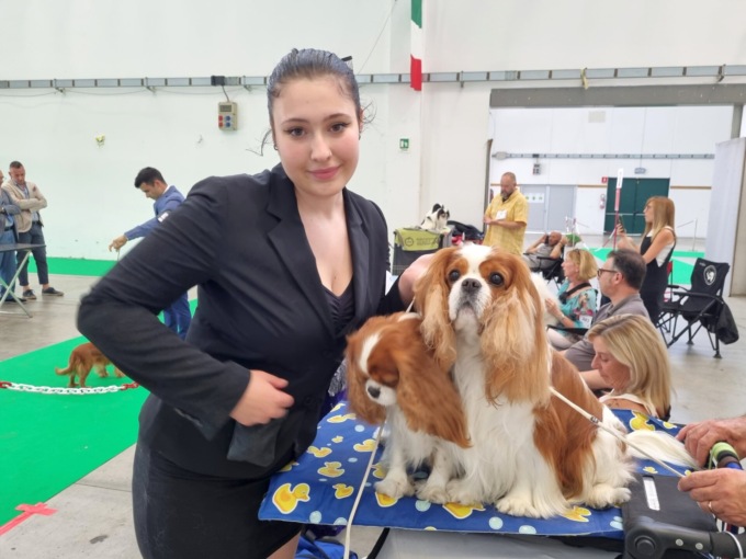 In gara i cani più belli: da venerdì a domenica in Millenaria l’esposizione canina