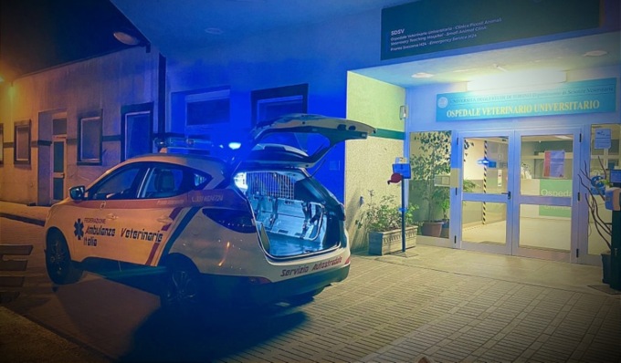 A Mantova arriva l’ambulanza per il trasporto degli animali domestici