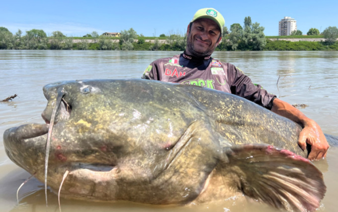 Siluro di tre metri catturato a Revere nelle acque del Po, il record mondiale di Alessandro