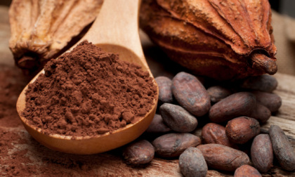 Cacao, il cibo degli Dei oggi è un superfood: il motivo