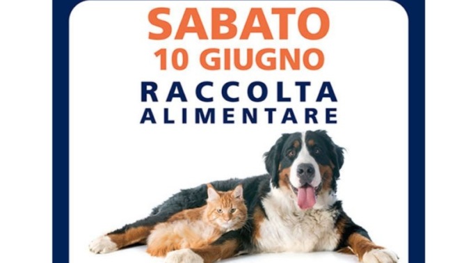Il Gigante e Balzoo insieme per gli amici a 4 zampe