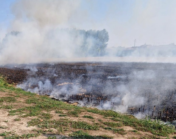 L’incendio arriva a due passi dalle case: le fiamme appiccate da un 11enne