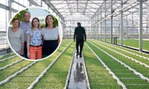 L'azienda agricola Gremizzi di Asola protagonista a Linea Verde Life su Rai 1