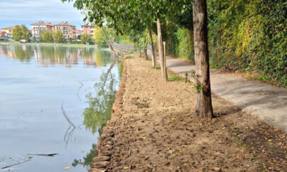 Per i Laghi di Mantova sponde più sicure: lavori per quasi due milioni di euro