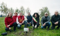 La campagna di Conad e Rete Clima pianterà 1.000 alberi a Gonzaga