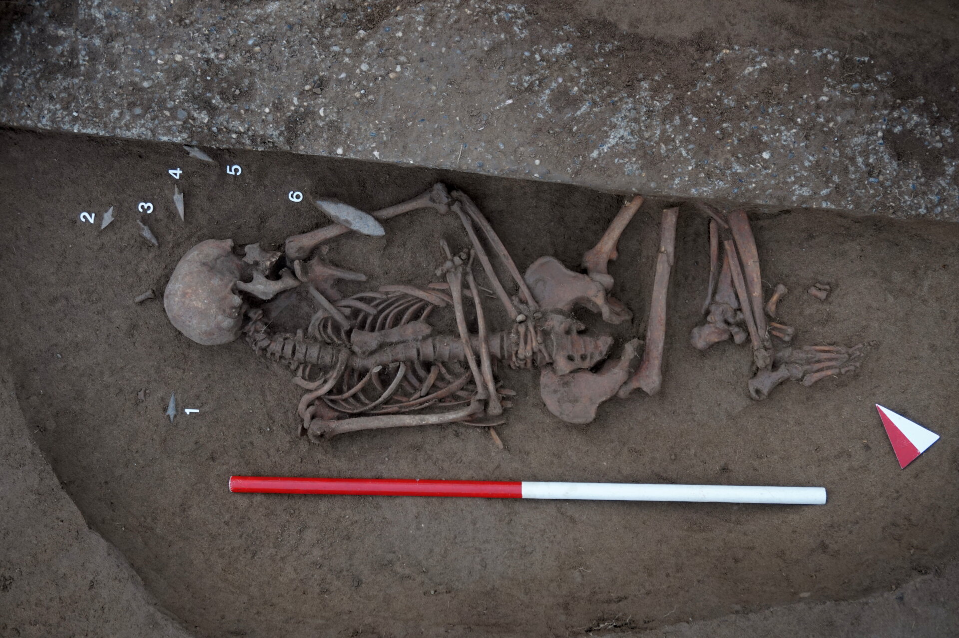 Il secondo dei tre scheletri trovati nel centro abitato di San Giorgio Bigarello
