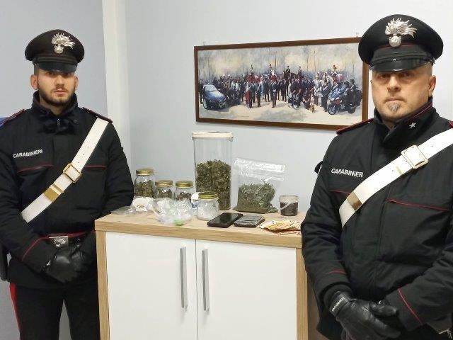 Nascosti in casa ha cocaina, 200 grammi di marijuana e un kit per costruire una serra artigianale