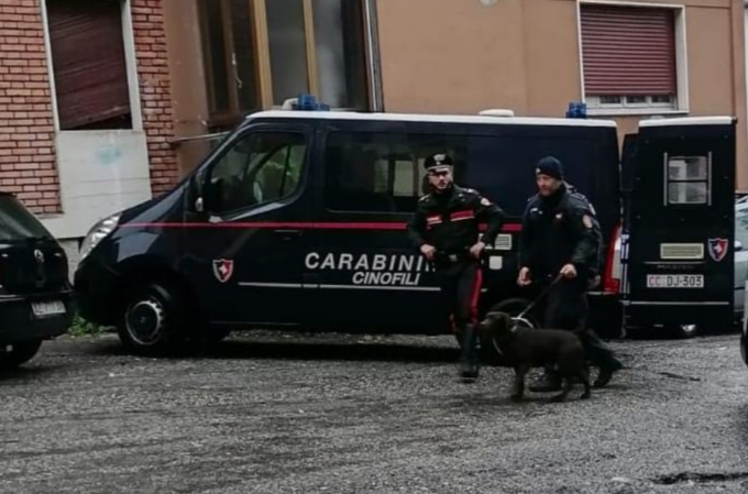 Nasconde in casa cocaina e hashish, 30enne beccata grazie al fiuto del cane Stella