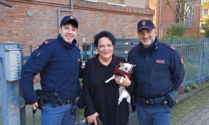 Smarrisce il cagnolino: la polizia lo riconsegna alla proprietaria dopo poche ore