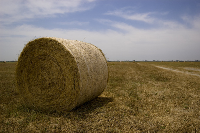Primo incidente sul lavoro nel Mantovano nel 2024, agricoltore 57enne muore schiacciato da due rotoballe di fieno