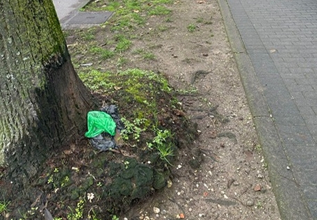 Dissemina giardini e marciapiedi con i sacchetti (usati) del cane: beccato e multato