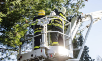 Forti raffiche di vento nel Mantovano, l'intervento dei pompieri tra pali abbattuti e alberi a rischio