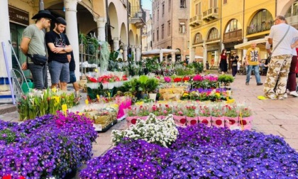 A febbraio 250mila visitatori in centro a Mantova: “Buone prospettive per la primavera”