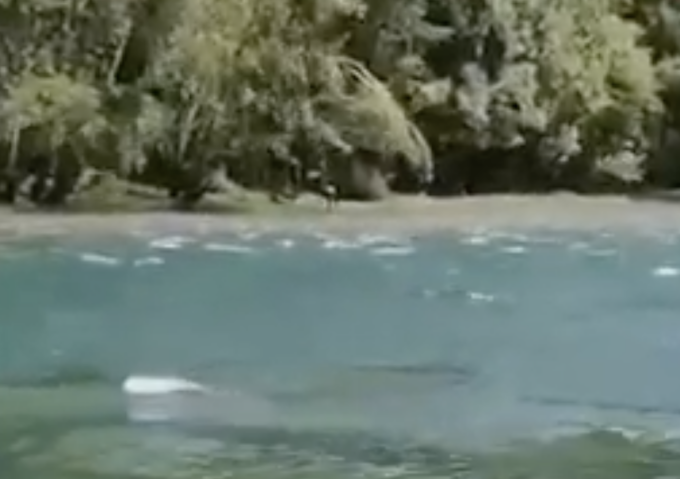 Tragedia nell’Adda: 16enne si tuffa e muore annegato, aveva vissuto in provincia di Mantova