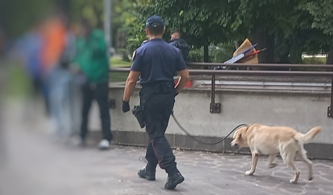 Controlli a Mantova, il fiuto del cane antidroga “Grom” scova l’hashish