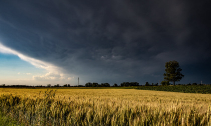 Rovesci e forti temporali in arrivo, allerta meteo in provincia di Mantova