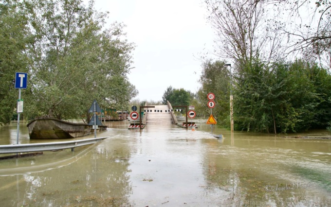 Pioggia record nel Mantovano: Po in piena a Borgoforte, chiuso il ponte di Torre d’Oglio