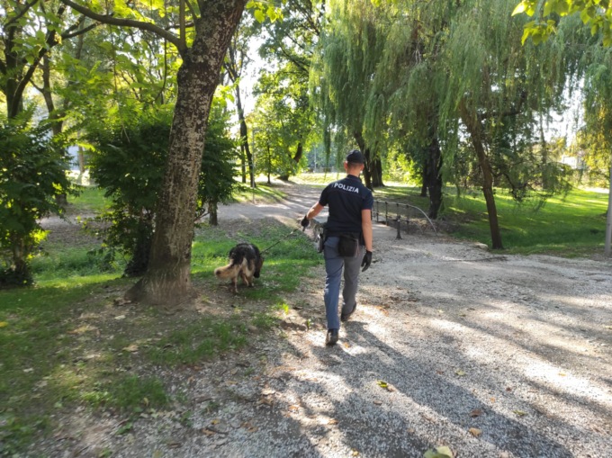 Droga nascosta nei giardini di Mantova, rinvenuti 80 grammi di hashish