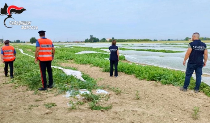 Controlli dei Cc sul lavoro: nell’estate 37 datori denunciati e oltre 200mila euro di multe