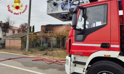 Cavallo cade in una piscina: in corso le operazioni di salvataggio dei vigili del fuoco
