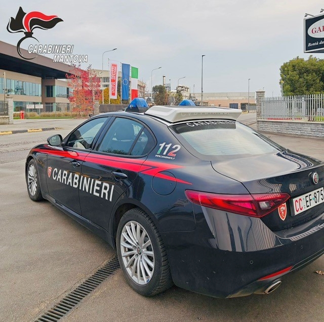 Sul posto sono intervenuti anche i carabinieri del Radiomobile di Mantova