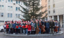 Accesi albero di Natale e luminarie: a Mantova arrivano tante iniziative per la fine dell'anno