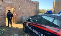 Già sorvegliato speciale, finisce in udienza in Tribunale e lì dichiara il falso: denunciato (di nuovo)