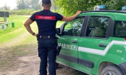 Beccato dai carabinieri forestali mentre trasporta rifiuti pericolosi senza autorizzazione